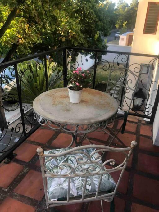 Gatsby Suite, With Pool In Quiet Area, Close To Town Stellenbosch Exteriör bild